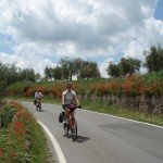 Toscane
